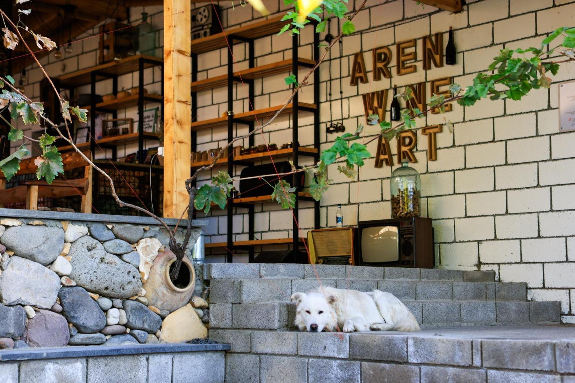 Areni Wine Art Bed and Breakfast Εξωτερικό φωτογραφία