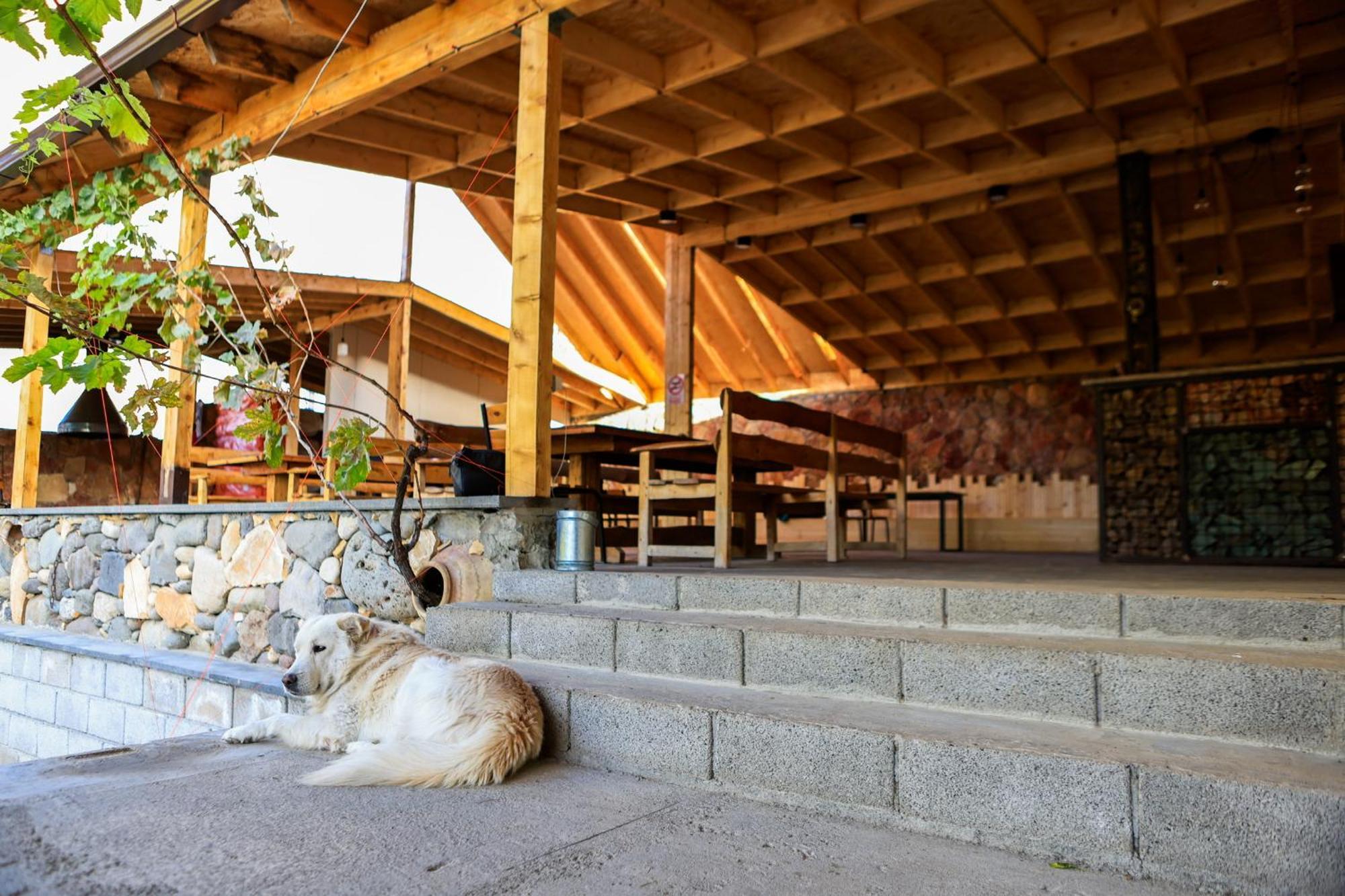 Areni Wine Art Bed and Breakfast Εξωτερικό φωτογραφία